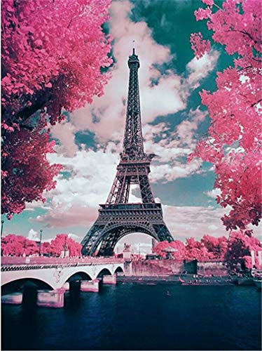 YEESAM ART Neuheiten Malen nach Zahlen Erwachsene Kinder, Frankreich Paris Eiffelturm, Romantische Kirschblüte, Rosa Blüten 40x50 cm Leinen Segeltuch, DIY ölgemälde Weihnachten Geschenke von YEESAM ART