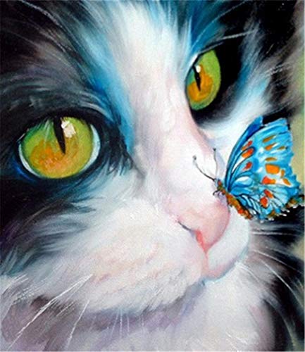 YEESAM ART Neuheiten Malen nach Zahlen Erwachsene Kinder, Blaue Katze Schmetterling 40x50 cm Leinen Segeltuch, DIY ölgemälde Weihnachten Geschenke von YEESAM ART