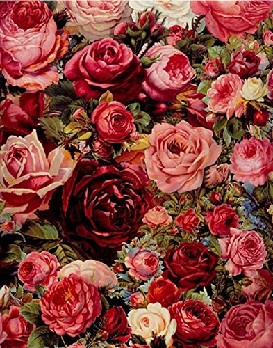 YEESAM ART Neuheiten Malen nach Zahlen Erwachsene Kinder, Romantisch Rosen Blumen Garten 40x50 cm Leinen Segeltuch, DIY ölgemälde Weihnachten Geschenke von YEESAM ART