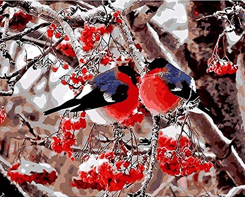 YEESAM ART Neuheiten Malen nach Zahlen Erwachsene Kinder, Rotbauch Vögel, Obst Baum, Winter Schnee 40x50 cm Leinen Segeltuch, DIY ölgemälde Weihnachten Geschenke von YEESAM ART