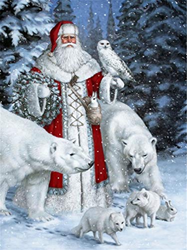 YEESAM ART Neuheiten Malen nach Zahlen Erwachsene Kinder, Weihnachtsmann Eule Bär Tiere 40x50 cm Leinen Segeltuch, DIY ölgemälde Weihnachten Geschenke (Weihnachtstiere, Ohne Frame) von YEESAM ART