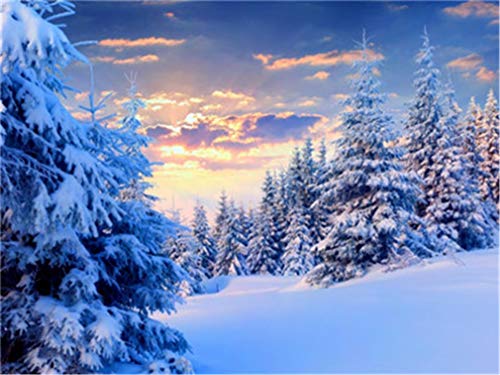 YEESAM ART Neuheiten Malen nach Zahlen Erwachsene Kinder, Winter Schnee Wald Zeder 40x50 cm Leinen Segeltuch, DIY ölgemälde Weihnachten Geschenke (Forest, Mit Rahmen) von YEESAM ART