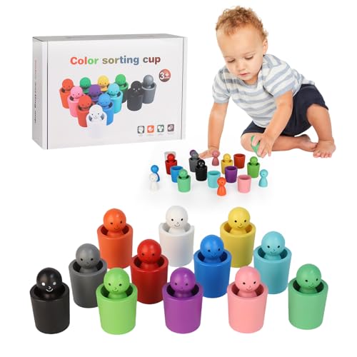 YELKOEYN Farb-Sortierbecher - 2025 Neue Sortierspielzeuge, Farb-Sortierspielzeuge für Kleinkinder, Sinnes-Spielzeuge, Farb-Übereinstimmungsspielzeuge für vorschulische Bildung und Lernen YELKOEYN Farb-Sortierbecher - 2025 Neue Sortierspielzeuge, Farb-Sortierspielzeuge für Kleinkinder, Sinnes-Spielzeuge, Farb-Übereinstimmungsspielzeuge für vorschulische Bildung und Lernen von YELKOEYN