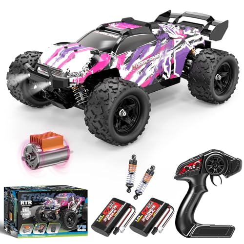 YESHIN 1:18 Ferngesteuertes Auto - 40+ km/h Hobby Offroad Monster RC Truck - Hochdetaillierte Nachbildung für Rennsport-Fans (Kinder & Erwachsene) von YESHIN