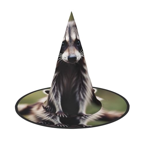 YHBLYKXP Niedlicher Waschbär-Hexenhut mit faltbarer Krempe, verstellbar, für Kostümpartys, Karneval, Maskenball von YHBLYKXP