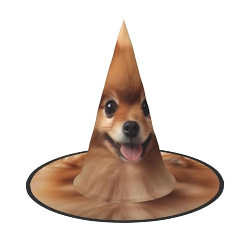 YHBLYKXP Zwergspitz-Muster, verstellbarer Halloween-Hexenhut mit faltbarer Krempe, für Kostümparty, Karneval, Maskenball YHBLYKXP Zwergspitz-Muster, verstellbarer Halloween-Hexenhut mit faltbarer Krempe, für Kostümparty, Karneval, Maskenball von YHBLYKXP