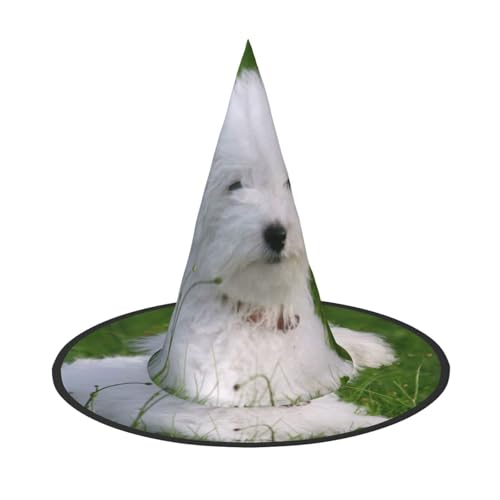 YHLKLWKSZC Halloween-Hexenhüte für Damen, leicht, faltbar, Bichon auf dem Gras, Hexenhüte für Jungen und Mädchen, Halloween-Hut, Cosplay, Party-Dekorationen YHLKLWKSZC Halloween-Hexenhüte für Damen, leicht, faltbar, Bichon auf dem Gras, Hexenhüte für Jungen und Mädchen, Halloween-Hut, Cosplay, Party-Dekorationen von YHLKLWKSZC