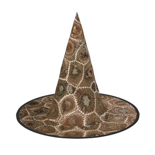 YHLKLWKSZC Halloween-Hexenhüte für Damen, leicht, faltbar, Petoskey-Steindruck, Hexenhüte für Jungen und Mädchen, Halloween-Hut, Cosplay, Party-Dekorationen YHLKLWKSZC Halloween-Hexenhüte für Damen, leicht, faltbar, Petoskey-Steindruck, Hexenhüte für Jungen und Mädchen, Halloween-Hut, Cosplay, Party-Dekorationen von YHLKLWKSZC