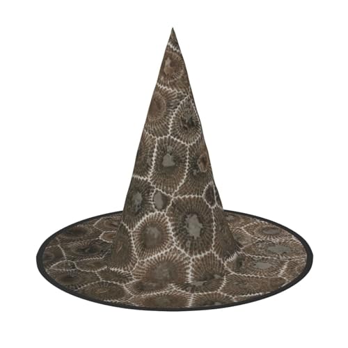 YHLKLWKSZC Halloween-Hexenhüte für Damen, leicht, faltbar, Petoskey-Steindruck, Hexenhüte für Jungen und Mädchen, Halloween-Hut, Cosplay, Party-Dekorationen YHLKLWKSZC Halloween-Hexenhüte für Damen, leicht, faltbar, Petoskey-Steindruck, Hexenhüte für Jungen und Mädchen, Halloween-Hut, Cosplay, Party-Dekorationen von YHLKLWKSZC