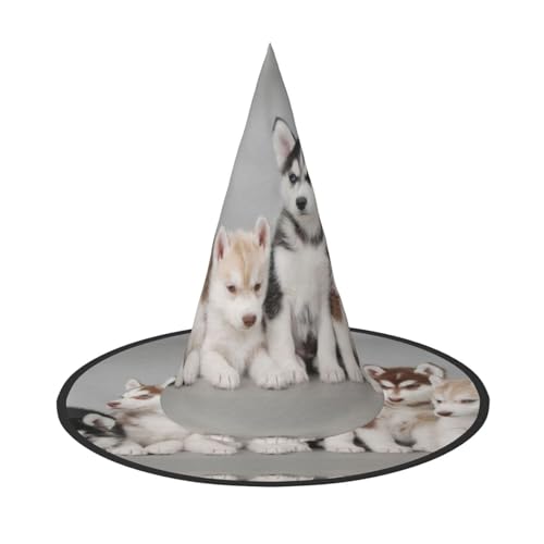 YHLKLWKSZC Halloween Kleine Hexenhüte für Frauen – leicht, faltbar, schöner Hunde-Druck, Hexenhüte für Jungen und Mädchen, Halloween-Hut, Cosplay, Party-Dekorationen YHLKLWKSZC Halloween Kleine Hexenhüte für Frauen – leicht, faltbar, schöner Hunde-Druck, Hexenhüte für Jungen und Mädchen, Halloween-Hut, Cosplay, Party-Dekorationen von YHLKLWKSZC