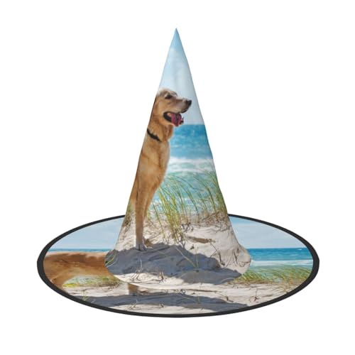 YHLKLWKSZC Kleine Halloween-Hexenhüte für Frauen – leicht, faltbar, Golden Retriever-Druck, Hexenhüte für Jungen und Mädchen, Halloween-Hut, Cosplay, Party-Dekorationen YHLKLWKSZC Kleine Halloween-Hexenhüte für Frauen – leicht, faltbar, Golden Retriever-Druck, Hexenhüte für Jungen und Mädchen, Halloween-Hut, Cosplay, Party-Dekorationen von YHLKLWKSZC
