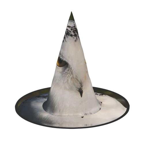 YHLKLWKSZC Kleine Halloween-Hexenhüte für Frauen – leicht, faltbar, Schnee-Eulen-Augen, Druck, Hexenhüte für Jungen und Mädchen, Halloween-Hut, Cosplay, Party-Dekorationen von YHLKLWKSZC
