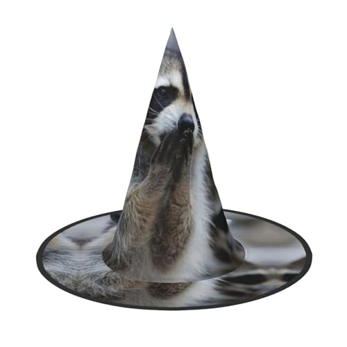 YHLKLWKSZC Kleine Halloween-Hexenhüte für Frauen – leicht, faltbar, niedlicher Waschbär-Druck, Hexenhüte für Jungen und Mädchen, Halloween-Hut, Cosplay, Party-Dekorationen YHLKLWKSZC Kleine Halloween-Hexenhüte für Frauen – leicht, faltbar, niedlicher Waschbär-Druck, Hexenhüte für Jungen und Mädchen, Halloween-Hut, Cosplay, Party-Dekorationen von YHLKLWKSZC