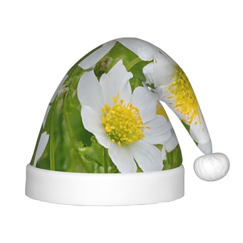 YHLKLWKSZC Weihnachtsmütze mit Blumen- und Gänseblümchen-Motiv, bedruckt, Weihnachtsmannmütze, weich und bequem, 1 Stück von YHLKLWKSZC