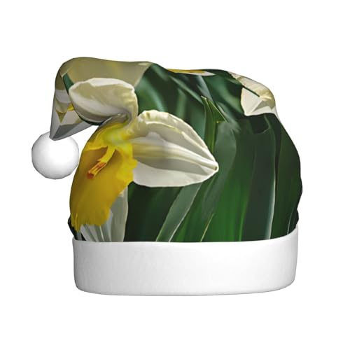 YHLKLWKSZC Weihnachtsmütze mit Narzissen-Blumen-Druck, Weihnachtsmannmütze für Erwachsene, Unisex, Urlaubs-Weihnachtsmütze von YHLKLWKSZC
