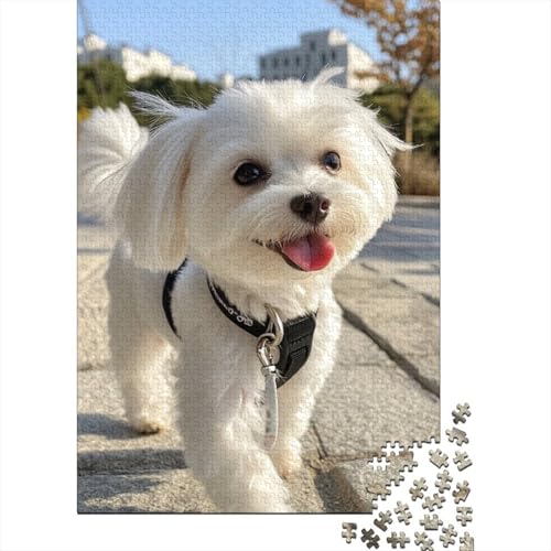 West Highland White Terrier Puzzle 1000-teilige Schwer Puzzle Spielzeug Pädagogisches Spiel Impossible Herausforderung Spielzeug Für Erwachsene Kinder 1000pcs (75x50cm) von YINNDKSOK