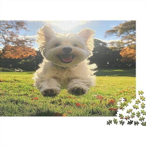 West Highland White Terrier Puzzles1000 Teile, Puzzle Für Erwachsene, Geschicklichkeitsspiel Für Die Ganze Familie, Klassische Puzzle,GeburtstagsErwachsenen Puzzlespiel Puzzel 1000pcs (75x50c West Highland White Terrier Puzzles1000 Teile, Puzzle Für Erwachsene, Geschicklichkeitsspiel Für Die Ganze Familie, Klassische Puzzle,GeburtstagsErwachsenen Puzzlespiel Puzzel 1000pcs (75x50c von YINNDKSOK