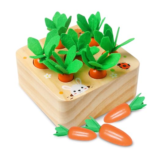 YIQOGAME Montessori Holzspielzeug,Karotten Steckspiel Holz Sortierspiel Lernspielzeug Kleinkind Spielzeug Holzspielzeug Baby Lernen Feinmotorik Spielzeug ab 2 3 4 Jahre von YIQOGAME