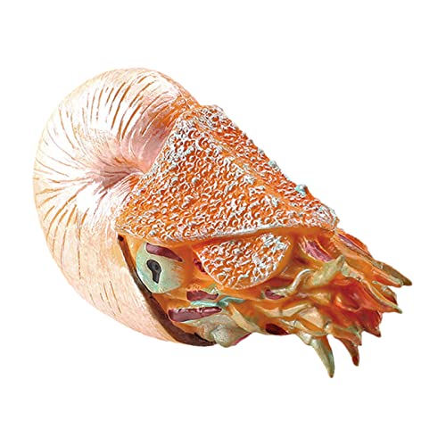 YIZITU Figur Fisch Realistische Meer Tiere Spielzeug Replikate Kuchen Kinderausbildung Spielzeug Aquarium Boutique Kollektionen Wissenschaft Figuren Für Büro YIZITU Figur Fisch Realistische Meer Tiere Spielzeug Replikate Kuchen Kinderausbildung Spielzeug Aquarium Boutique Kollektionen Wissenschaft Figuren Für Büro von YIZITU