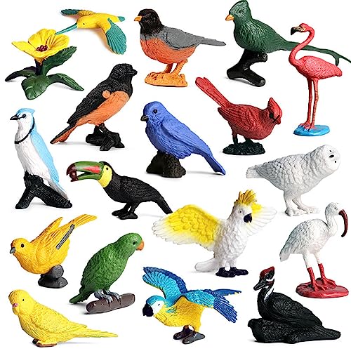 YIZITU Lustiger Kunststoff Gemacht Realistische Vogelfiguren Trick Wissenschaftlicher Accessoires Party Gunst Für Kreative Vorräte Lindern Spielzeugs Vogelmodelle Für Kinder YIZITU Lustiger Kunststoff Gemacht Realistische Vogelfiguren Trick Wissenschaftlicher Accessoires Party Gunst Für Kreative Vorräte Lindern Spielzeugs Vogelmodelle Für Kinder von YIZITU