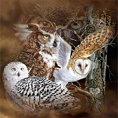 YKCKSD Puzzles mit 1000 Teilen für Erwachsene, Familie, Eulen, Puzzles für Kinder, kreative Freizeit, Lernspiel, Holzspielzeug für Kinder, lustig YKCKSD Puzzles mit 1000 Teilen für Erwachsene, Familie, Eulen, Puzzles für Kinder, kreative Freizeit, Lernspiel, Holzspielzeug für Kinder, lustig von YKCKSD