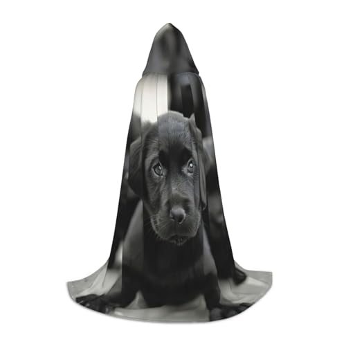 Umhang mit Welpen, Hundeaufdruck, Mittelalter und Renaissance, mit Kapuze, Zauberer, Vampir und Halloween-Kostüm Umhang mit Welpen, Hundeaufdruck, Mittelalter und Renaissance, mit Kapuze, Zauberer, Vampir und Halloween-Kostüm von YKJJFVZ