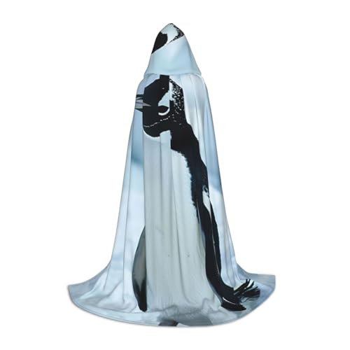 YKJJFVZ Mittelalter- und Renaissance-Umhang mit Kapuze, Zauberer, Vampir und Halloween-Kostüme YKJJFVZ Mittelalter- und Renaissance-Umhang mit Kapuze, Zauberer, Vampir und Halloween-Kostüme von YKJJFVZ
