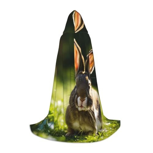 YKJJFVZ Mittelalter- und Renaissance-Umhang mit Kapuze, Zauberer-, Vampir- und Halloween-Kostüme YKJJFVZ Mittelalter- und Renaissance-Umhang mit Kapuze, Zauberer-, Vampir- und Halloween-Kostüme von YKJJFVZ