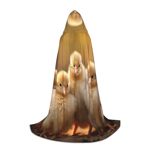 YKJJFVZ Mittelalter- und Renaissance-Umhang mit Kapuze, Zauberer-, Vampir- und Halloween-Kostüme von YKJJFVZ