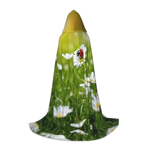 YKJJFVZ Mittelalter- und Renaissance-Umhang mit Marienkäfer-Motiv, mit Kapuze, Zauberer, Vampir und Halloween-Kostüm YKJJFVZ Mittelalter- und Renaissance-Umhang mit Marienkäfer-Motiv, mit Kapuze, Zauberer, Vampir und Halloween-Kostüm von YKJJFVZ