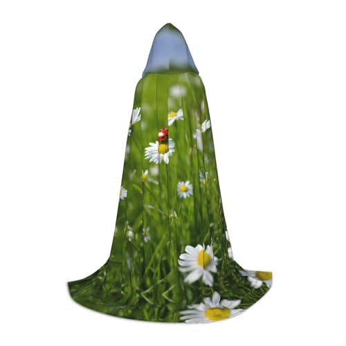 YKJJFVZ Mittelalter- und Renaissance-Umhang mit Marienkäfer-Motiv, mit Kapuze, Zauberer, Vampir und Halloween-Kostüm YKJJFVZ Mittelalter- und Renaissance-Umhang mit Marienkäfer-Motiv, mit Kapuze, Zauberer, Vampir und Halloween-Kostüm von YKJJFVZ