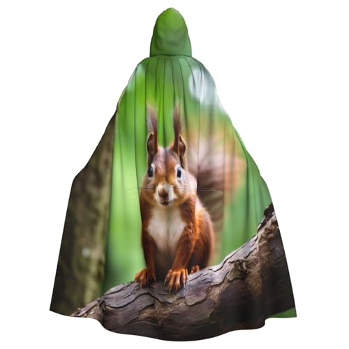 YKJJFVZ Roter Eichhörnchen-Druck, Rogue Cosplay, Erwachsene, Halloween, Hexe, Kapuzenumhang, Umhang, Uni-Kostüm für Horror-Partys, Maskerade YKJJFVZ Roter Eichhörnchen-Druck, Rogue Cosplay, Erwachsene, Halloween, Hexe, Kapuzenumhang, Umhang, Uni-Kostüm für Horror-Partys, Maskerade von YKJJFVZ