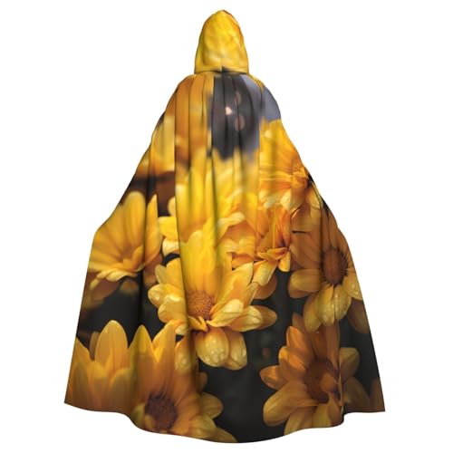 YKJJFVZ Umhang mit Kapuze für Erwachsene, Halloween, Hexe, mit Kapuze, Uni, Kostüm für Horrorpartys, Maskerade YKJJFVZ Umhang mit Kapuze für Erwachsene, Halloween, Hexe, mit Kapuze, Uni, Kostüm für Horrorpartys, Maskerade von YKJJFVZ