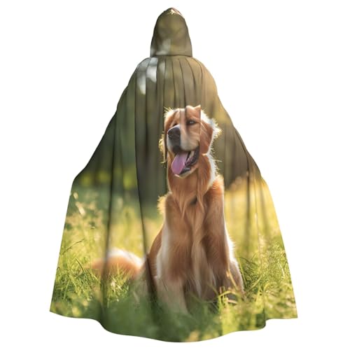 YKJJFVZ Umhang mit Kapuze und Kapuze für Erwachsene, Motiv: Lovely Retriever, Rogue, Cosplay, Halloween, Hexe, Uni-Kostüm für Horror-Partys, Maskerade YKJJFVZ Umhang mit Kapuze und Kapuze für Erwachsene, Motiv: Lovely Retriever, Rogue, Cosplay, Halloween, Hexe, Uni-Kostüm für Horror-Partys, Maskerade von YKJJFVZ