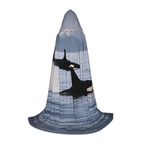 YKJJFVZ Umhang mit Killerwalen schwimmen mit, Mittelalter- und Renaissance-Umhang mit Kapuze, Zauberer, Vampir und Halloween-Kostümen YKJJFVZ Umhang mit Killerwalen schwimmen mit, Mittelalter- und Renaissance-Umhang mit Kapuze, Zauberer, Vampir und Halloween-Kostümen von YKJJFVZ
