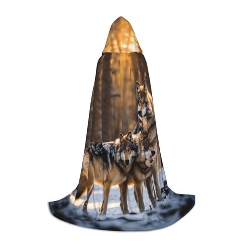 YKJJFVZ Umhang mit Wolfsaufdruck, Mittelalter und Renaissance, mit Kapuze, Zauberer, Vampir und Halloween-Kostüm YKJJFVZ Umhang mit Wolfsaufdruck, Mittelalter und Renaissance, mit Kapuze, Zauberer, Vampir und Halloween-Kostüm von YKJJFVZ