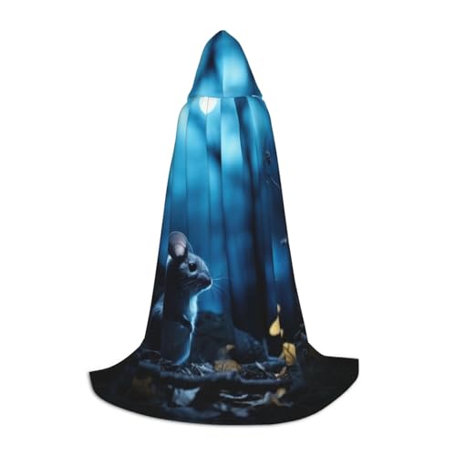 YKJJFVZ Umhang mit blauem Chinchillas und Mond, Mittelalter und Renaissance, mit Kapuze, Zauberer, Vampir und Halloween-Kostüm YKJJFVZ Umhang mit blauem Chinchillas und Mond, Mittelalter und Renaissance, mit Kapuze, Zauberer, Vampir und Halloween-Kostüm von YKJJFVZ
