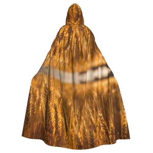 YKJJFVZ Weizenfelddruck, Rogue Cosplay, Erwachsene, Halloween, Hexe, Kapuzenumhang, Umhang, Uni-Kostüm für Horror-Partys, Maskerade YKJJFVZ Weizenfelddruck, Rogue Cosplay, Erwachsene, Halloween, Hexe, Kapuzenumhang, Umhang, Uni-Kostüm für Horror-Partys, Maskerade von YKJJFVZ