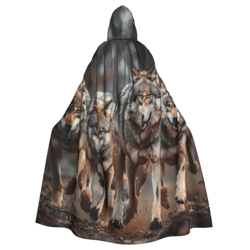 YKJJFVZ Wolfs-Aufdruck, Rogue Cosplay, Erwachsene, Halloween, Hexe, Kapuzenumhang, Umhang, Uni-Kostüm für Horror-Partys, Maskerade YKJJFVZ Wolfs-Aufdruck, Rogue Cosplay, Erwachsene, Halloween, Hexe, Kapuzenumhang, Umhang, Uni-Kostüm für Horror-Partys, Maskerade von YKJJFVZ
