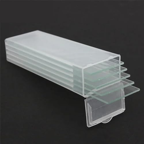 YKMYXZ, 5 Stück 1 mm dicke Hohlraum-Glasdeckgläser, einzelne konkave Mikroskop-Glasobjektträger, wiederverwendbares Labor-Blanko-Probendeckglas YKMYXZ, 5 Stück 1 mm dicke Hohlraum-Glasdeckgläser, einzelne konkave Mikroskop-Glasobjektträger, wiederverwendbares Labor-Blanko-Probendeckglas von YKMYXZ