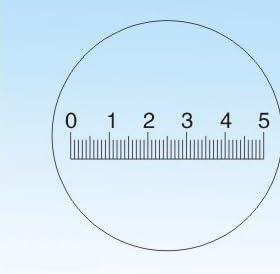 YKMYXZ, Durchmesser 19 mm Mikroskopobjektträger Fadenkreuz Kalibrierungsschieber Lineal Mikroskop-Kalibrierungslineal Tischmikrometer(C3) von YKMYXZ