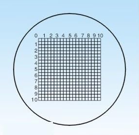 YKMYXZ, Durchmesser 19 mm Mikroskopobjektträger Fadenkreuz Kalibrierungsschieber Lineal Mikroskop-Kalibrierungslineal Tischmikrometer(C5) von YKMYXZ