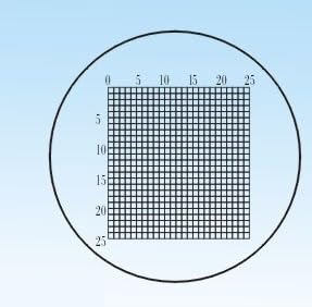 YKMYXZ, Durchmesser 19 mm Mikroskopobjektträger Fadenkreuz Kalibrierungsschieber Lineal Mikroskop-Kalibrierungslineal Tischmikrometer(C6) von YKMYXZ