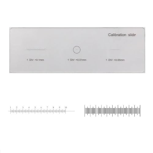 YKMYXZ, Mikroskop-Kalibrierung, Mikroskop-Glasobjektträger, Fadenkreuz-Lineal, Tisch-Mikrometer for biologische Messungen, Kalibrierungslineal(MS 1 3) von YKMYXZ