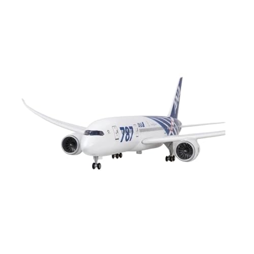 Metallflugzeugmodell Luftfahrt-Enthusiasten-Sammlung Für B787 Japan Ana 47 cm Druckguss-Flugzeug-Modell Spielzeug Simula Sammeln Oder Verschenken(No Light) von YLQERZ