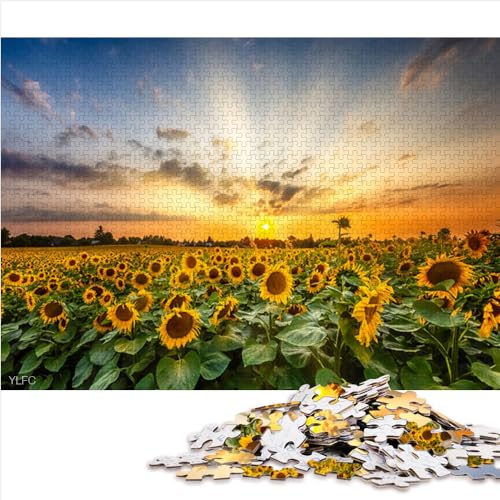 Puzzles für Erwachsene und Kinder, Sonnenblumenfeld bei Sonnenuntergang, 1000 Teile, Holzpuzzle für Erwachsene und Kinder, tolles Geschenk für Erwachsene, Größe (50x75 cm) von YOITS