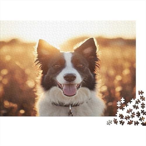 Border Collie Puzzlespiel 1000 Teile Puzzle Für Erwachsene Und Kinder Ab 14 Jahren, Erwachsenen Puzzlespiel Puzzel 1000pcs (75x50cm) von YOPDEOOCR