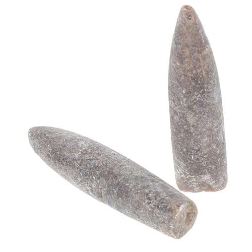 YOSADIER 2 Stück fossiles Exemplar bildung erdgeschichte Belemniten Fossilien für Zuhause Praktische Fossilien Fossile Geschenkideen Museum Belemnit-Exemplarschmuck Lehrangebot Erz YOSADIER 2 Stück fossiles Exemplar bildung erdgeschichte Belemniten Fossilien für Zuhause Praktische Fossilien Fossile Geschenkideen Museum Belemnit-Exemplarschmuck Lehrangebot Erz von YOSADIER