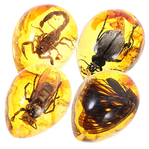 YOSADIER 4 Stück Insektenexemplar Ornament Bernstein YOSADIER 4 Stück Insektenexemplar Ornament Bernstein von YOSADIER