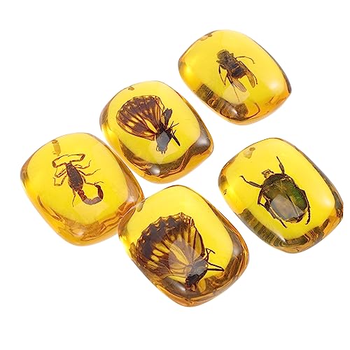YOSADIER 5 Stück Halskettenzauber schmuckherstellung Ohrringanhänger Insekten Anhänger Bernstein mit Bernstein Muster Anhänger Schmuckzubehör schmuck für armband selber machen Harz. YOSADIER 5 Stück Halskettenzauber schmuckherstellung Ohrringanhänger Insekten Anhänger Bernstein mit Bernstein Muster Anhänger Schmuckzubehör schmuck für armband selber machen Harz. von YOSADIER